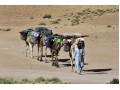 Détails : Voyage et trek dans le désert du Maroc