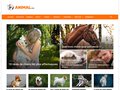 Animal.ch, le site des animaux 