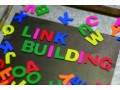 Détails : Développement de la stratégie de linkbuilding par la rédaction