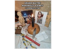 Publiez dans l'annuaire : 