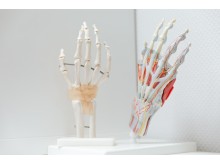 Publiez dans l'annuaire : 