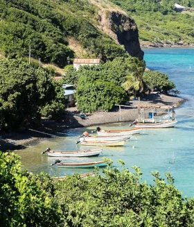 allocar-martinique-01.webp