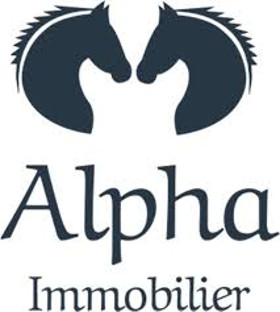 alphaimmobilier-01.jpg