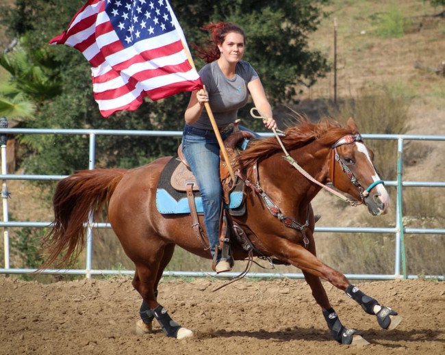american-horse-academy-02.jpg