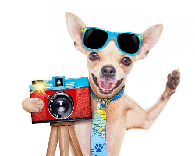 bestialmag-04.webp
