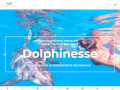 Détails : Faites un voyage dans l'univers des dauphins