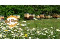 Détails : Miel-Direct, vente de produits de la ruche en direct (France, Occitanie)