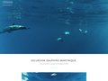 Excursion bateau dauphins Martinique