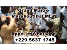 Publiez dans l'annuaire : 