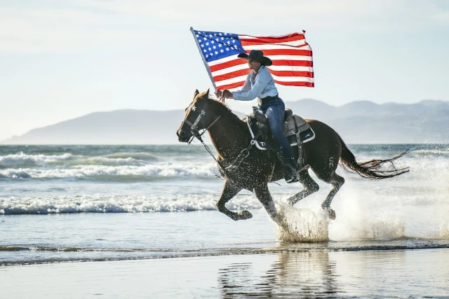king-drapeaux-02.webp