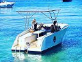 Lérins Boat, spécialiste en construction et vente de bateaux électriques et solaires