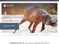 Détails : Soins thérapeutiques aux chevaux à Boulogne-sur-Mer