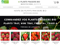 Le spécialiste des plants de fraisiers bio