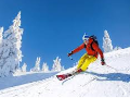 Détails : Station de ski Alti Aigoual, une destination familiale au cœur des Cévennes