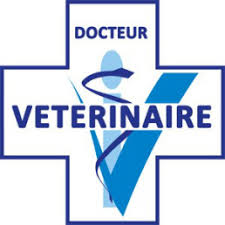 veterinaire-douai-01.png